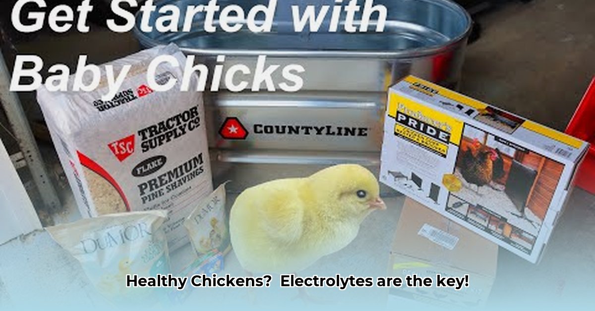 chicken-electrolytes-tractor-supply